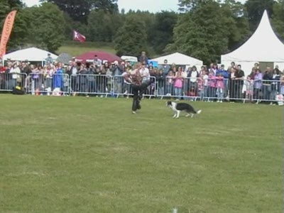 Video thumbnail 3 for Video: Kate and Gin at the Cold Wet Nose Show - Tags:Border Collie
Cold Wet Nose Show
Kate and Gin
