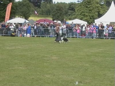 Video thumbnail 4 for Video: Kate and Gin at the Cold Wet Nose Show - Tags:Border Collie
Cold Wet Nose Show
Kate and Gin
