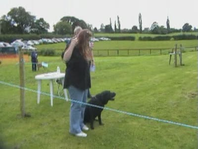 Video thumbnail 0 for Video: Obedience competition goes terribly wrong! - Tags:competition
Labrador Retriever
obedience
