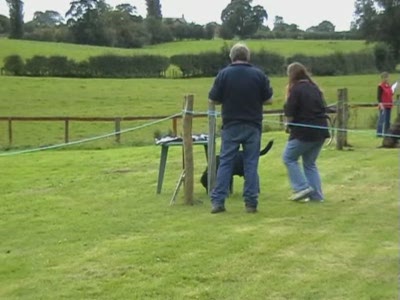 Video thumbnail 3 for Video: Obedience competition goes terribly wrong! - Tags:competition
Labrador Retriever
obedience

