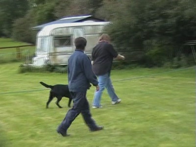 Video thumbnail 4 for Video: Obedience competition goes terribly wrong! - Tags:competition
Labrador Retriever
obedience
