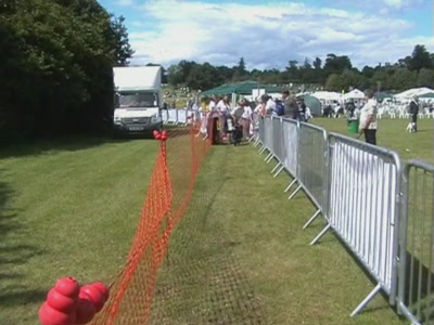 Video thumbnail 4 for Video: Timed retrieve - Tags:Cold Wet Nose Show
Crossbreeds
retrieve
