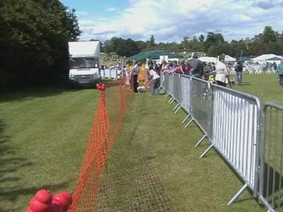 Video thumbnail 0 for Video: Star won't do timed retieve - Tags:Bichon Frise
Cold Wet Nose Show
retrieve
