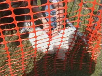 Video thumbnail 4 for Video: Star won't do timed retieve - Tags:Bichon Frise
Cold Wet Nose Show
retrieve
