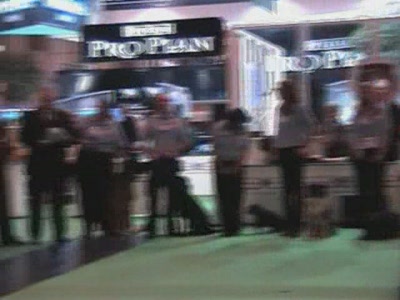 Video thumbnail 1 for Video: Crufts - Tags:crufts

