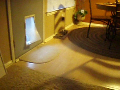 Video thumbnail 4 for Video: DoggyDishCam.com - Tags:buffer
doggy door
funny
funny dog
rudy
