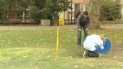 Video thumbnail 3 for Video: The benefits of dog agility - Tags:agility
Boston Terrier
Gina Graham
Jeremy Edwards
Shetland Sheepdog
