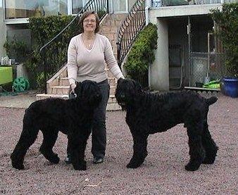 Dogs name: Sam and DaisyOwners Name: Mitch from SaumurOur two black shadows!!! Tags: Black Russian Terrier