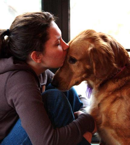 Dogs Name: MulliganOwners Name: JohnThe only Golden we have that's protective... he loves his gal Megan. Tags: Golden Retriever
