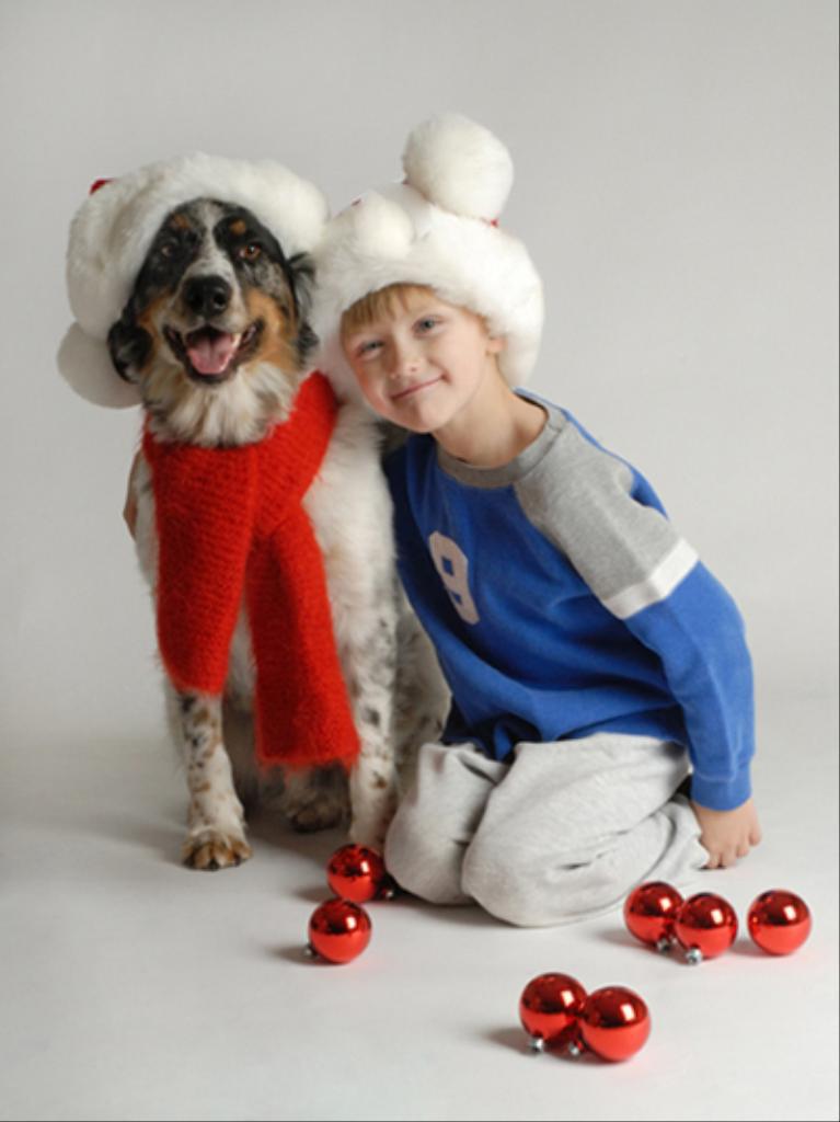 Tags: Australian Shepherd
funny christmas
