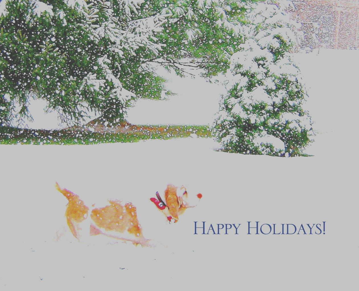Ms. Maggie Mae Busbee - sending out holiday greetings... Love and Peace Tags: 2009 -
Basset Hound
Holiday Photo