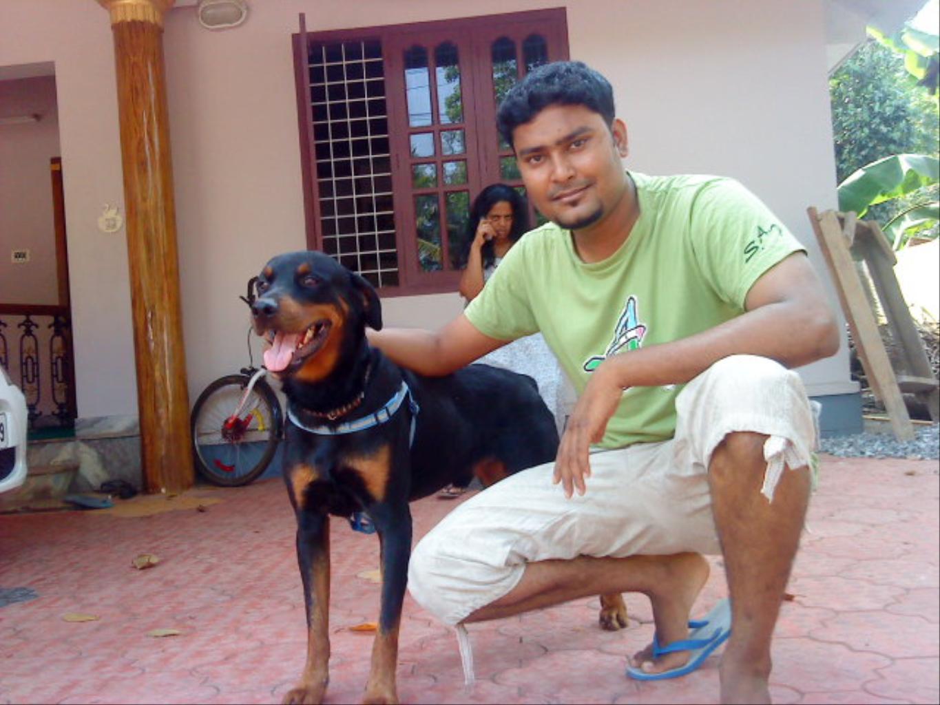 Tags: Rottweiler