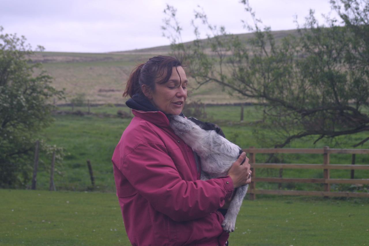 Vikki Sykes cuddling a young Border Collie at the Mainline Border Collie Centre. Tags: Border Collie
Mainline Border Collie Centre
Sheepdog Experience
Vikki Sykes