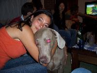 Dogs name: CalafOwners Name: Daniela Regueira