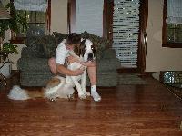 Dogs name: CaesarOwners Name: Daniel MorganThe sweetest dog I've ever met, bar none.  We have 2 and want more, and want to breed them later on in life.  The only word to describe this breed is 