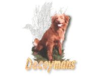Dogs name: Meg of DecoymansOwners Name: John Norris