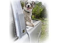 Dogs name: BluOwners Name: Daniel Dickerson