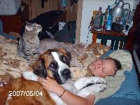 Dogs name: BellaOwners Name: Amber and Matthew JordingShe is a bed hog when she actually decides to get on it.