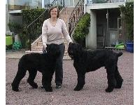 Dogs name: Sam and DaisyOwners Name: Mitch from SaumurOur two black shadows!!!