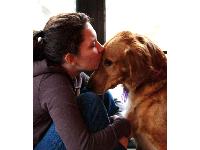 Dogs Name: MulliganOwners Name: JohnThe only Golden we have that's protective... he loves his gal Megan.