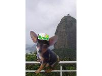 I AM READY FOR THE SUMMER IN  A RIO MOOD