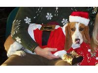 Emma's first Christmas, 7 months