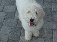 The one and only...... Fanny Von Doodle!!!!