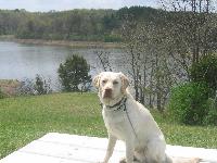 Grover's favorite swimming hole
