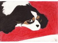 I drew this picture of my dog a year ago. She's with my mother at thae moment because i can't be at home for as while and I miss her very much.