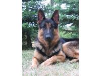 Owners: Steve and Karen Quinlivan, Indiana, USA, quinsk@verizon.net