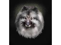 One of my recent pet portraits, of a lovely keeshond called Shadow
Wilde About Animals Custom Pet Portraits
Sarah Wilde
www.wildeaboutanimals.com