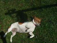 She's a feisty and brave individual,lots of fun to be around. Very loyal and loving but she can have her moments!