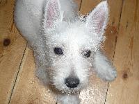 My new bundle of joy...