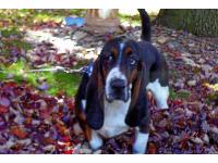 flash like jumping in leaves as much as the kids do!