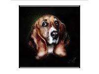 Custom pet portrait of Sophie the Bassett Hound from www.wildeaboutanimals.com
