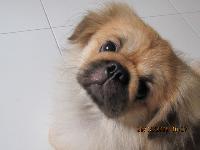 A friendly and playful little boy. 2 years old. His happiness is contagious!