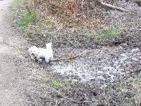 Mud, glorious mud!
