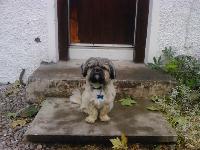 loghan, 4 years old.    'when they going to be back.'