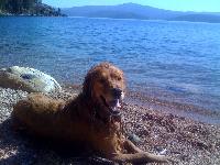 This is my best friend Jake.  As you can see he loves the wanter!