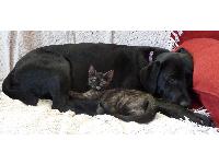 Buddy with Luna.