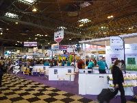 Crufts is a great place to discover the doggy activities you can participate in.