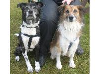 Snoop and Bryn.
