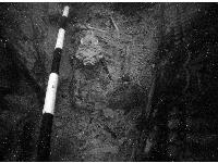 Hatch's remains on The Mary Rose.