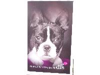 Another lovely dfs advert.
