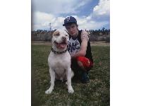 male american bulldog/ pitbull .
:]