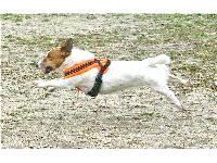 Oh, how I love to play ball!