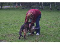 Schutzhund snuggle! 