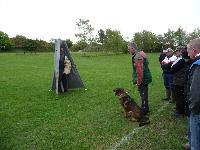Steven Havers working  Susie.