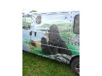 Newfie owners often end up with a van - this one is clearly for Newfoundlands!