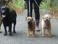 I'M LUCY IN THE MIDDLE,WITH MY 2 NEW FRIENDS,BILL AND MURPHYxx